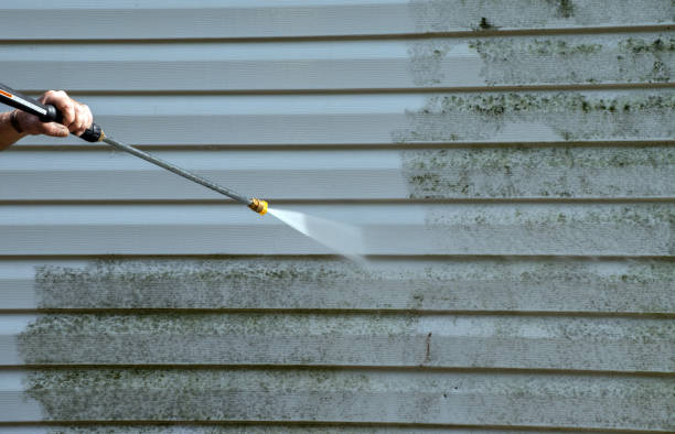 Best Residential Pressure Washing Services  in Littlefield, TX